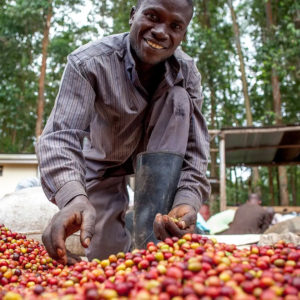 toomers_coffee_roasters_uganda_coffee_farmer